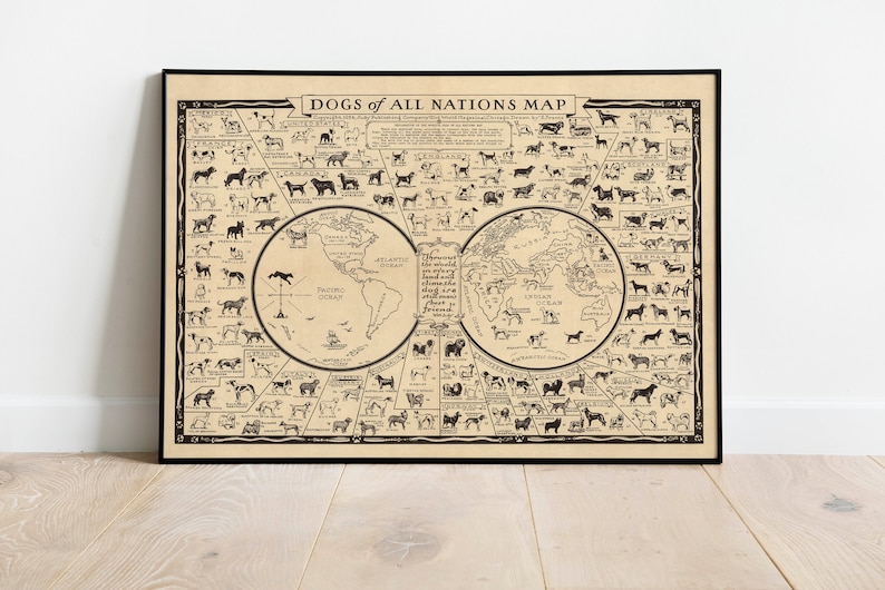 Dogs of All Nations Dogs Nations Map Dogs Poster Dogs Chart Poster Dog Lover Gift Dogs Wall Art Dogs Wall Print Dogs Diagram image 1