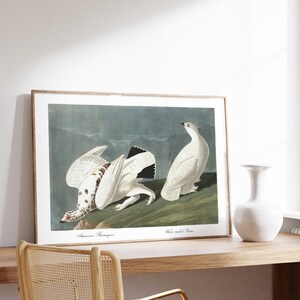 Impresiones de arte de aves vintage / Póster de aves / Impresión enmarcada / Arte de aves / Lienzo de arte / Arte de pared de aves / Decoración de aves para pared / Arte moderno / Impresiones de arte de aves