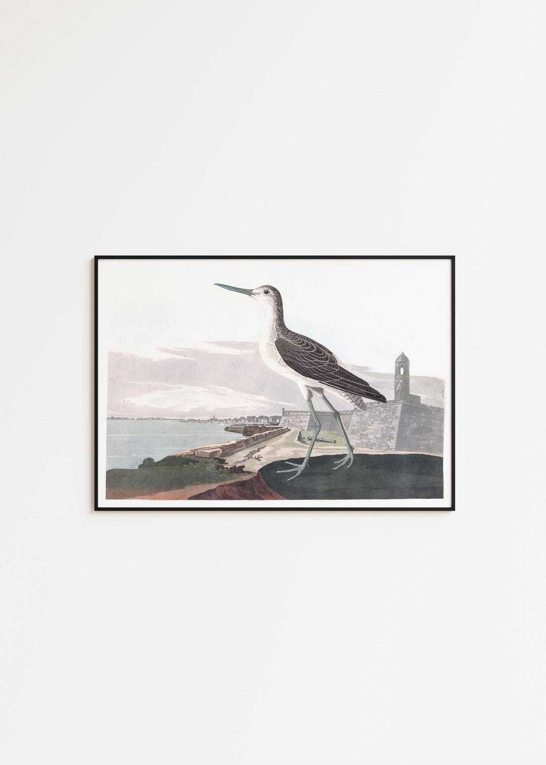 Greenshank Bird Art Print: Coastal Wall Decor, Framed or Canvas - Etsy