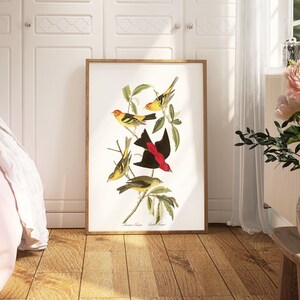 Impresiones de arte de aves vintage / Póster de aves / Impresión enmarcada / Arte de aves / Lienzo de arte / Arte de pared de aves / Decoración de aves para pared / Arte moderno / Impresiones de arte de aves