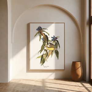 Stampe d'arte di uccelli vintage/Poster di uccelli/Stampa incorniciata/Arte di uccelli/Tela d'arte/Arte da parete di uccelli/Decorazione di uccelli per parete/Arte moderna/Stampe d'arte di uccelli