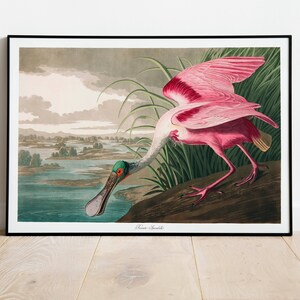 Stampe d'arte di uccelli vintage/Poster di uccelli/Stampa incorniciata/Arte di uccelli/Tela d'arte/Arte da parete di uccelli/Decorazione di uccelli per parete/Arte moderna/Stampe d'arte di uccelli