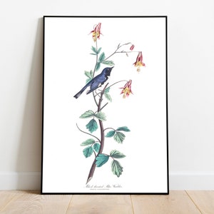 Stampe d'arte di uccelli vintage/Poster di uccelli/Stampa incorniciata/Arte di uccelli/Tela d'arte/Arte da parete di uccelli/Decorazione di uccelli per parete/Arte moderna/Stampe d'arte di uccelli