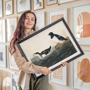 Little Auk Bird Art Print Framed Poster Print Wall Art Canvas Art Print Wall Art