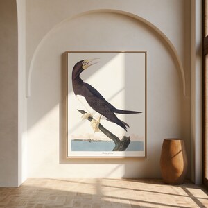 Stampe d'arte di uccelli vintage/Poster di uccelli/Stampa incorniciata/Arte di uccelli/Tela d'arte/Arte da parete di uccelli/Decorazione di uccelli per parete/Arte moderna/Stampe d'arte di uccelli