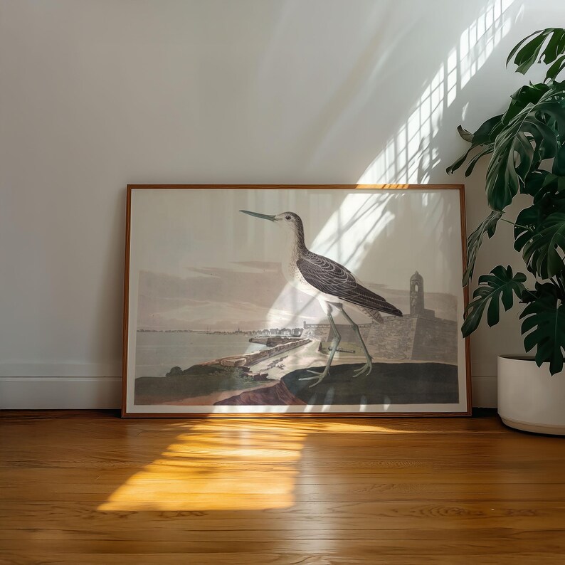 May include: A framed print featuring a detailed illustration of a bird with long legs and a long beak, set against a coastal landscape with a fortress. The artwork is in a wooden frame.