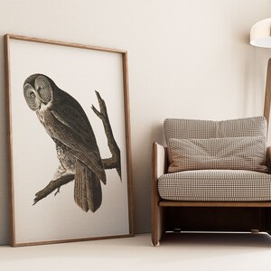 Impresiones de arte de aves vintage / Póster de aves / Impresión enmarcada / Arte de aves / Lienzo de arte / Arte de pared de aves / Decoración de aves para pared / Arte moderno / Impresiones de arte de aves