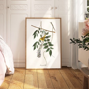 Impresiones de arte de aves vintage / Póster de aves / Impresión enmarcada / Arte de aves / Lienzo de arte / Arte de pared de aves / Decoración de aves para pared / Arte moderno / Impresiones de arte de aves