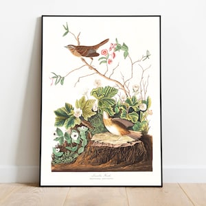 Impresiones de arte de aves vintage / Póster de aves / Impresión enmarcada / Arte de aves / Lienzo de arte / Arte de pared de aves / Decoración de aves para pared / Arte moderno / Impresiones de arte de aves