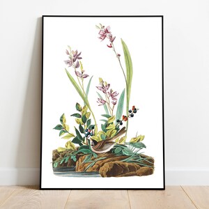 Láminas de arte de aves vintage/Póster de aves/Impresión enmarcada/Arte de aves/Lienzo artístico/Arte de pared de aves/Decoración de pared de aves/Arte moderno/Láminas de arte de aves