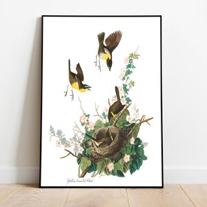 Impresiones de arte de aves vintage / Póster de aves / Impresión enmarcada / Arte de aves / Lienzo de arte / Arte de pared de aves / Decoración de aves para pared / Arte moderno / Impresiones de arte de aves