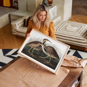 American Bittern Bird Art Print Framed Poster Print Wall Art Canvas Art Print Wall Art