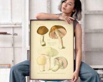 Arte mural botánico de hongos: impresión de estilo vintage