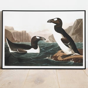 Impresiones de arte de aves vintage / Póster de aves / Impresión enmarcada / Arte de aves / Lienzo de arte / Arte de pared de aves / Decoración de aves para pared / Arte moderno / Impresiones de arte de aves