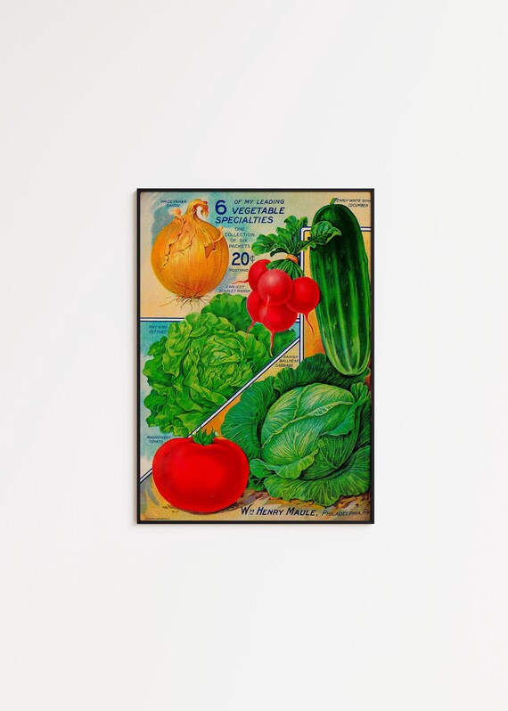 Vintage Vegetable Poster: Botanical Kitchen Wall Art