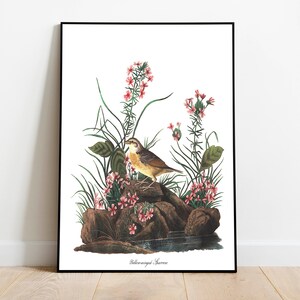 Stampe d'arte di uccelli vintage/Poster di uccelli/Stampa incorniciata/Arte di uccelli/Tela d'arte/Arte da parete di uccelli/Decorazione di uccelli per parete/Arte moderna/Stampe d'arte di uccelli