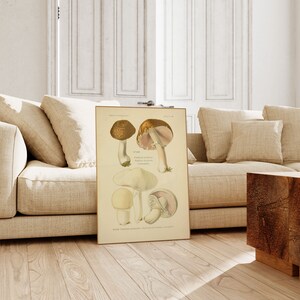 Mushroom Wall Print| Botanical Wall Art| Art Canvas| Poster Vintage| Flower Art| Kitchen Wall Art| Wall Poster| Framed Art Prints