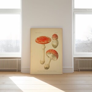 Mushroom Wall Print| Botanical Wall Art| Art Canvas| Poster Vintage| Flower Art| Kitchen Wall Art| Wall Poster| Framed Art Prints