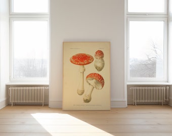 Mushroom Wall Print| Botanical Wall Art| Art Canvas| Poster Vintage| Flower Art| Kitchen Wall Art| Wall Poster| Framed Art Prints