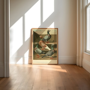 Impresión de póster de palomas / Póster de pájaros / Impresiones de animales / Impresiones de pared / Arte de lienzo / Arte de pared vintage / Póster de pared / Impresiones de arte enmarcadas
