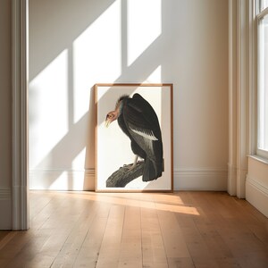 Impresiones de arte de aves vintage / Póster de aves / Impresión enmarcada / Arte de aves / Lienzo de arte / Arte de pared de aves / Decoración de aves para pared / Arte moderno / Impresiones de arte de aves