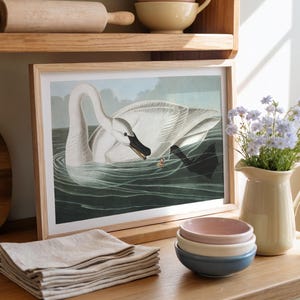 Trumpeter Swan Art Print: Framed Poster, Canvas Wall Art