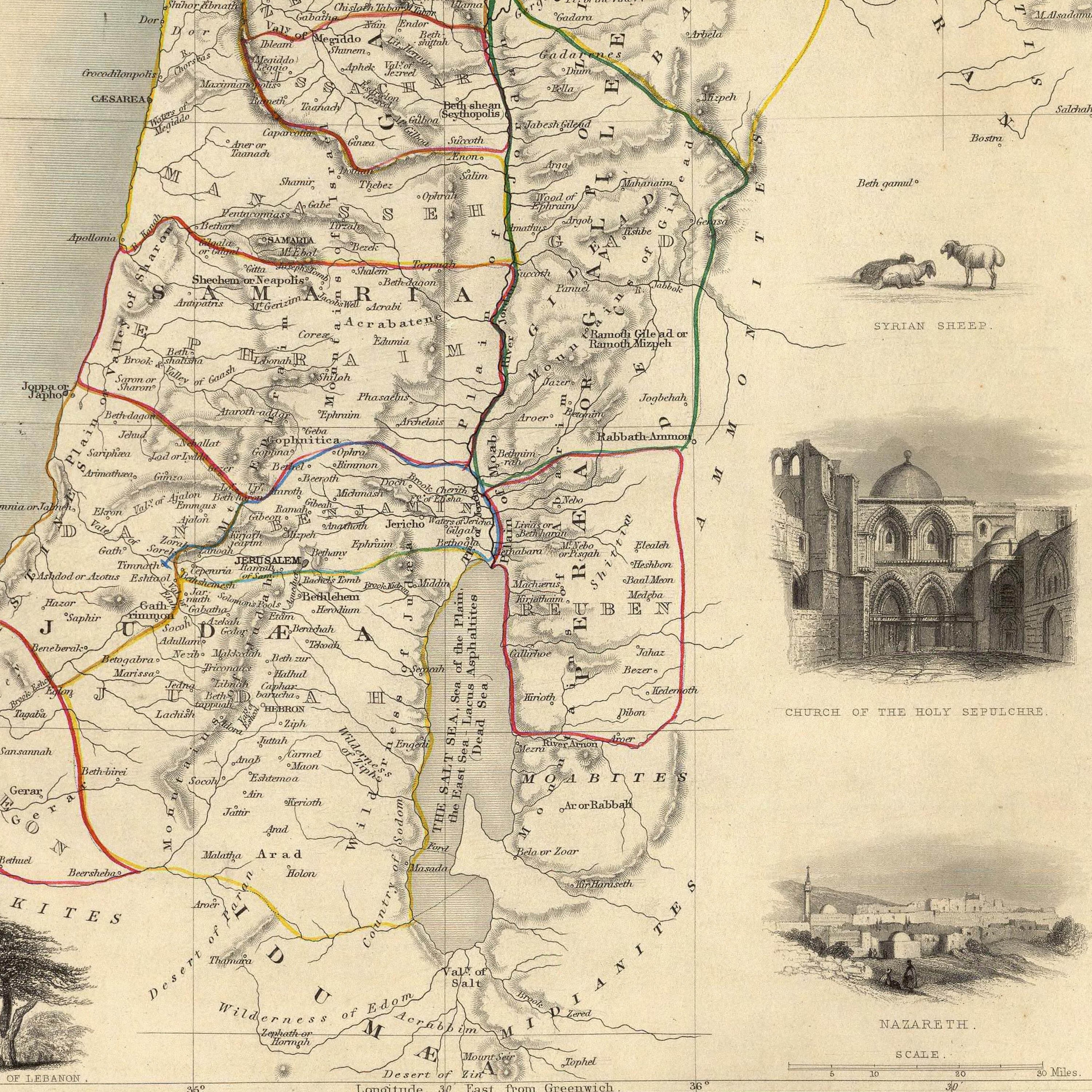 Ancient Palestine Map Print Wall Art 1851 Palestine Vintage | Etsy