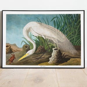 Stampe d'arte di uccelli vintage/Poster di uccelli/Stampa incorniciata/Arte di uccelli/Airone bianco/Arte da parete di uccelli/Decorazione di uccelli per parete/Arte moderna/Stampe d'arte di uccelli