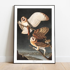 Stampe d'arte di uccelli vintage/Poster di uccelli/Stampa incorniciata/Arte di uccelli/Tela d'arte/Arte da parete di uccelli/Decorazione di uccelli per parete/Arte moderna/Stampe d'arte di uccelli
