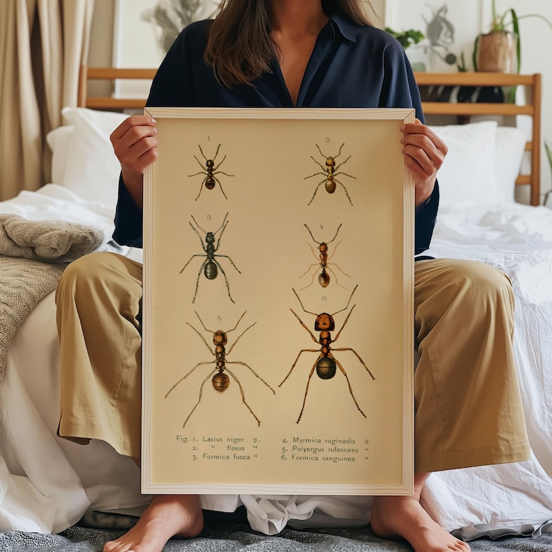 Vintage Ants Science Poster Print: Entomology Wall Art - Etsy