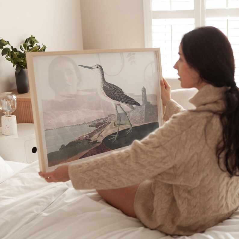 May include: A framed print featuring a detailed illustration of a bird with long legs and a long beak, set against a coastal landscape with a tower. The artwork is in a light wooden frame.