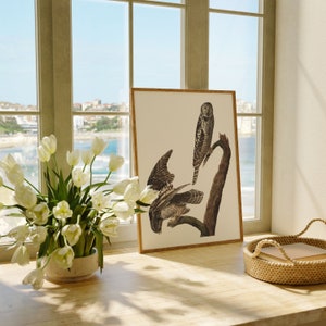Impresiones de arte de aves vintage / Póster de aves / Impresión enmarcada / Arte de aves / Lienzo de arte / Arte de pared de aves / Decoración de aves para pared / Arte moderno / Impresiones de arte de aves