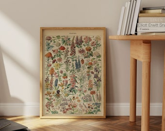 Gráfico de flores/ Diagrama de flores/ Póster de pared de cocina/ Póster de pared botánico/ Gráfico floral/ Póster de arte de flores/ Impresiones de pared de biología
