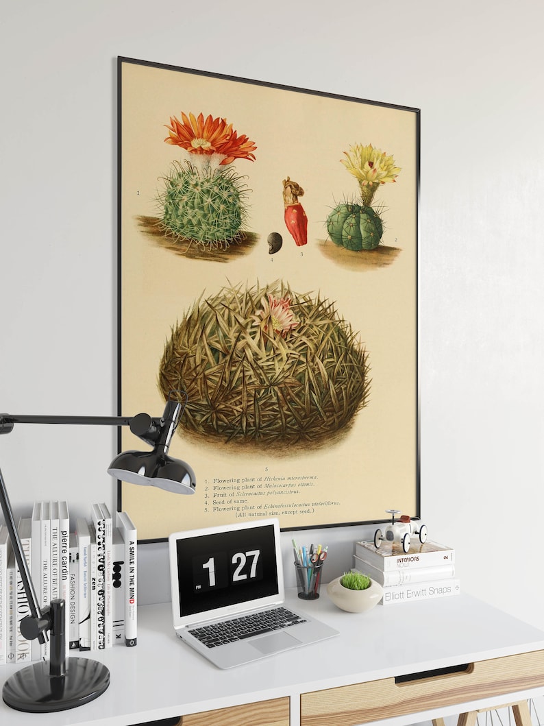 Cactus Wall Print Poster Vintage Flower Art Art Canvas Framed Art Prints Botanical Wall Art Kitchen Wall Art Wall Poster