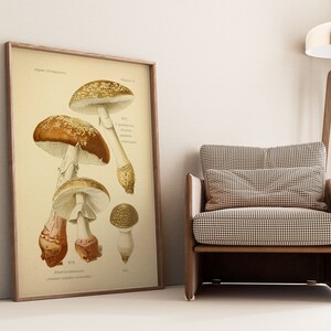 Mushroom Wall Print| Botanical Wall Art| Art Canvas| Poster Vintage| Flower Art| Kitchen Wall Art| Wall Poster| Framed Art Prints