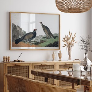 Impresiones de arte de aves vintage / Póster de aves / Impresión enmarcada / Arte de aves / Lienzo de arte / Arte de pared de aves / Decoración de aves para pared / Arte moderno / Impresiones de arte de aves