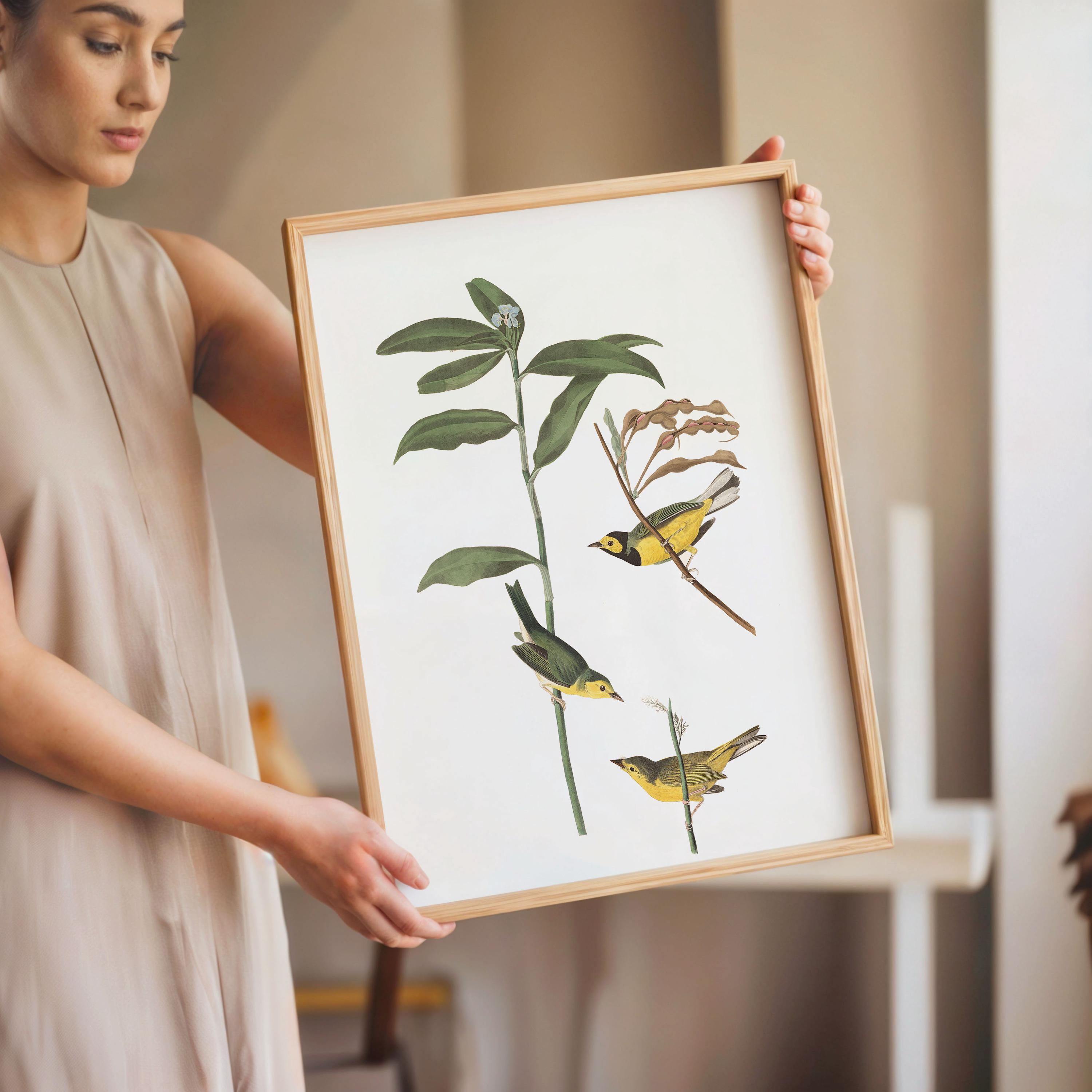 アメリカムシクイ絵画　額縁付き ズキンアメリカムシクイの鳥のアートプリント：額入りポスターまたは