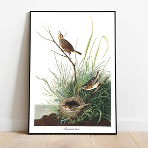 Impresiones de arte de aves vintage / Póster de aves / Impresión enmarcada / Arte de aves / Lienzo de arte / Arte de pared de aves / Decoración de aves para pared / Arte moderno / Impresiones de arte de aves
