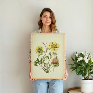May include: A framed botanical print featuring a detailed illustration of yellow flowers with green leaves and a brown seed head. The artwork is set against a light yellow background and framed in natural wood.