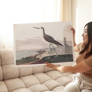 Greenshank Bird Art Print: Coastal Wall Decor, Framed or Canvas image 6