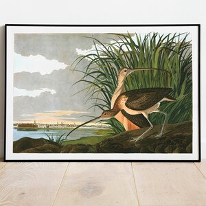Impresiones de arte de aves vintage / Póster de aves / Impresión enmarcada / Arte de aves / Lienzo de arte / Arte de pared de aves / Decoración de aves para pared / Arte moderno / Impresiones de arte de aves