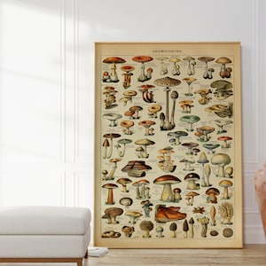 Paddestoelposter| Paddenstoeldiagram| Schimmelposter| Paddenstoelenprint| Botanische kunst| Champignon| Schimmels Afdrukken| Schimmelkunst| Paddestoelen Grafiek