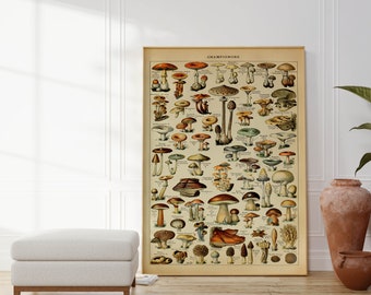 Mushroom Poster| Mushroom Diagram| Fungus Poster| Mushroom Print| Botanical Art| Champignon| Fungi Print| Fungi Art| Mushrooms Chart