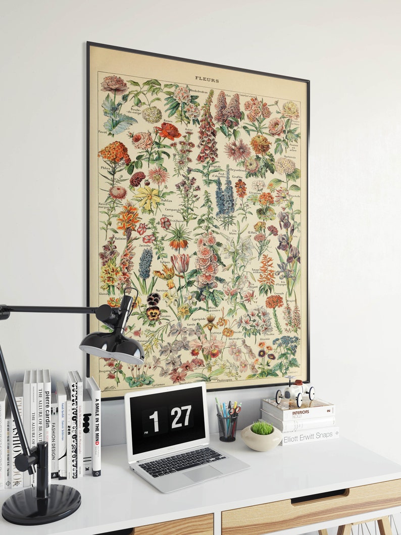 Flowers Chart Flowers Diagram Kitchen Wall Poster Botanic Wall Poster Floral Chart Flowers Art Poster Biology Wall Prints image 3