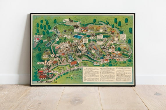 Pictorial Map of San Diego Zoo San Diego Wall Art Print | Etsy