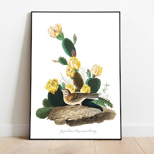 Stampe d'arte di uccelli vintage/Poster di uccelli/Stampa incorniciata/Arte di uccelli/Tela d'arte/Arte da parete di uccelli/Decorazione di uccelli per parete/Arte moderna/Stampe d'arte di uccelli