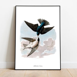 Stampe d'arte di uccelli vintage/Poster di uccelli/Stampa incorniciata/Arte di uccelli/Tela d'arte/Arte da parete di uccelli/Decorazione di uccelli per parete/Arte moderna/Stampe d'arte di uccelli