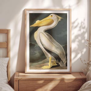 Pelican Art Print: Coastal Bird Poster, Framed Canvas Wall Art