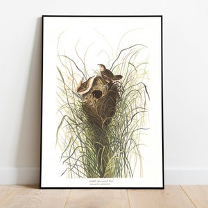 Stampe d'arte di uccelli vintage/Poster di uccelli/Stampa incorniciata/Arte di uccelli/Tela d'arte/Arte da parete di uccelli/Decorazione di uccelli per parete/Arte moderna/Stampe d'arte di uccelli