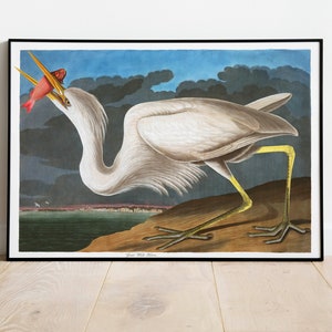 Stampe d'arte di uccelli vintage/Poster di uccelli/Stampa incorniciata/Arte di uccelli/Tela d'arte/Arte da parete di uccelli/Decorazione di uccelli per parete/Arte moderna/Stampe d'arte di uccelli